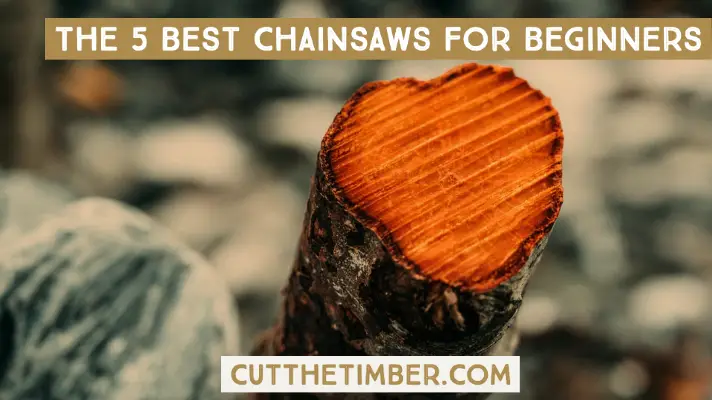 There are a lot of chainsaws out there, so this guide is designed to tell you everything you need to know about selecting the best chainsaw for beginners. We'll tell you the important features that you'll need and give you reviews of five of the best beginner chainsaws. Keep reading to find out more.