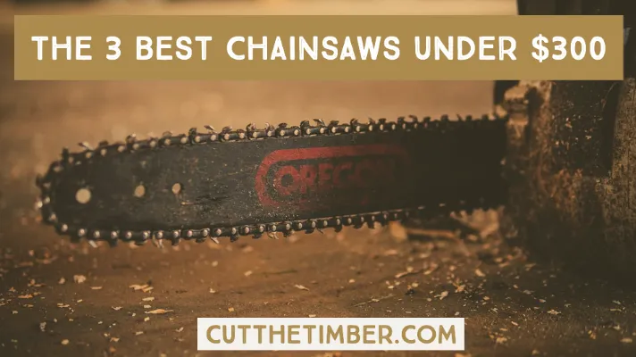 When it comes to purchasing a chainsaw, you may be shocked by the range of prices you can find. For this article, we’re going to explore the best chainsaws you can buy under $300.