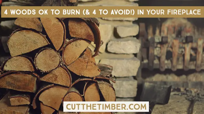 Burning wood in a fireplace has long been a passion of many homeowners. Here are 4 woods that are OK to burn & 4 you should avoid for your fireplace.