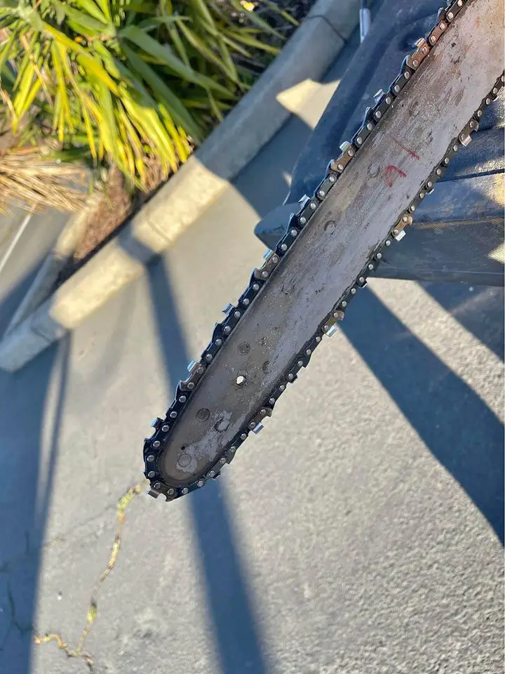 How Dirt Dulls a Chainsaw Chain Cut The Timber